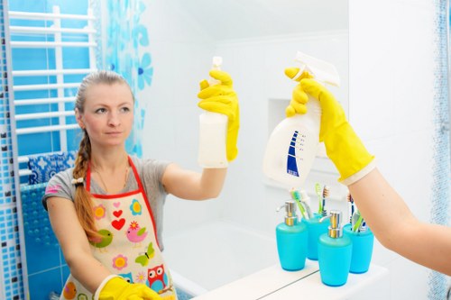 Professional carpet cleaning for a family home in Dulwich
