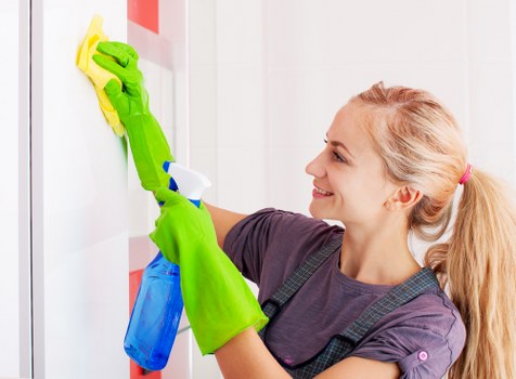 Professional stain removal for carpets and upholstery in a Dulwich home