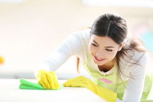 Local sofa cleaning service treating stains and dust in Dulwich
