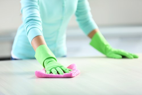 Trusted local domestic cleaning support for households in Dulwich and nearby areas
