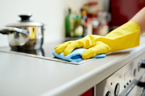 Final clean for a renovated Dulwich flat after building work
