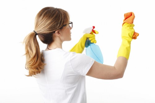 Deep cleaning equipment used for mattress care in Dulwich