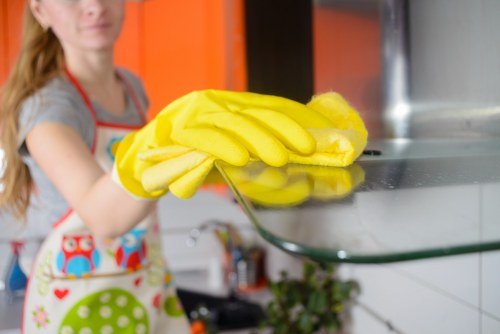 Local cleaner carrying out kitchen and bathroom domestic cleaning in Dulwich